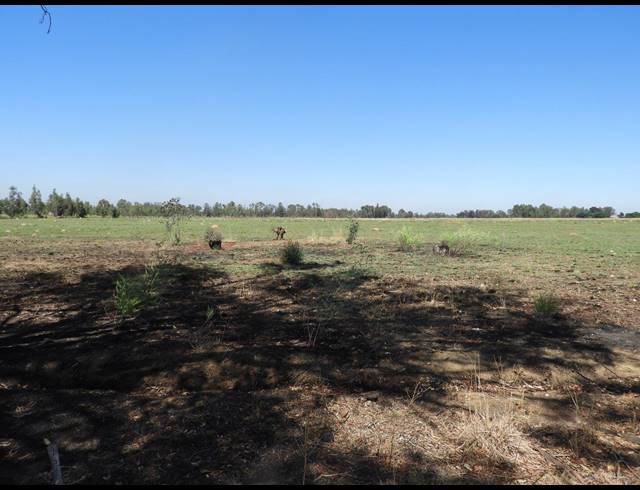 115,300M² VACANT LAND FOR SALE IN DE DEUR